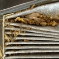 What Happens When Your Car's AC Filter is Dirty?